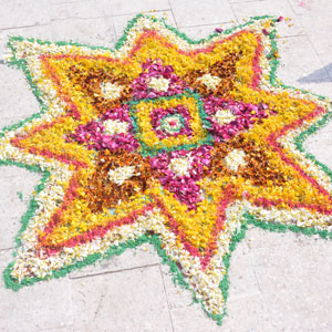 image6 image6